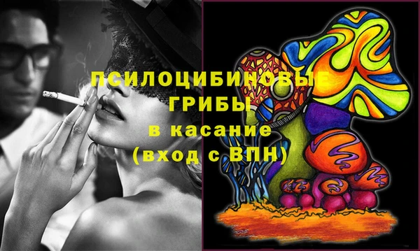 мяу мяу мука Дмитровск