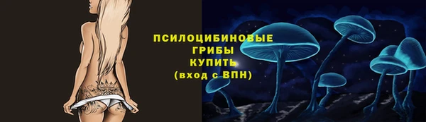 марки nbome Гусев