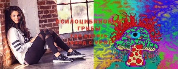 мяу мяу мука Дмитровск