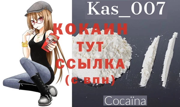 стафф Дмитриев
